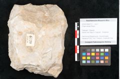 Foto (Objekt + Etikett) von Chara meriani Braun (NHMW-GEO-2024-0188-6720)